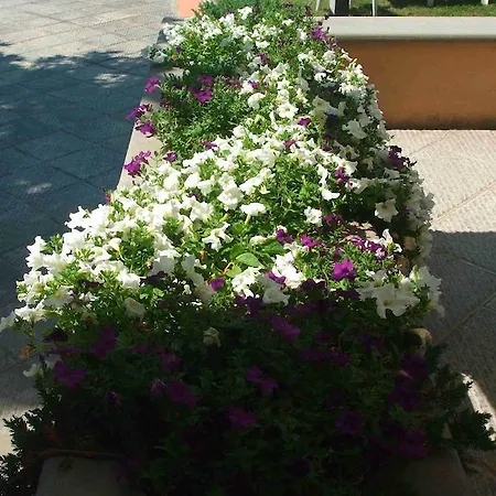 Bisenzio